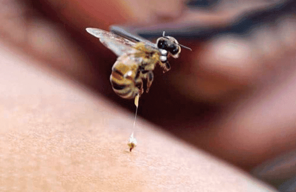 Estas 47 locuras solo se encuentran en Dubai